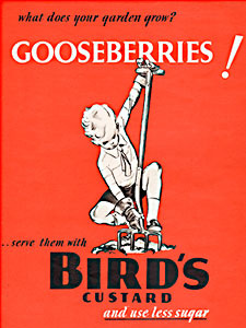  1940 Bird's Custard - vintage ad
