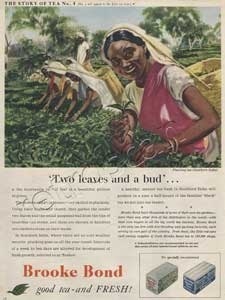 1954 Brooke Bond Story of Tea 4