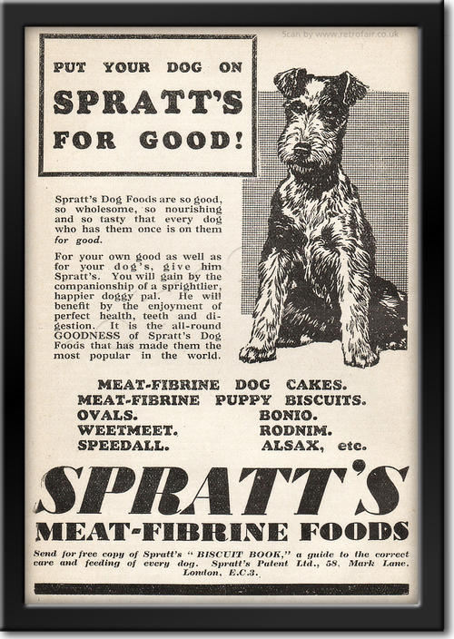 vintage 1935 Spratts Dog Food advert