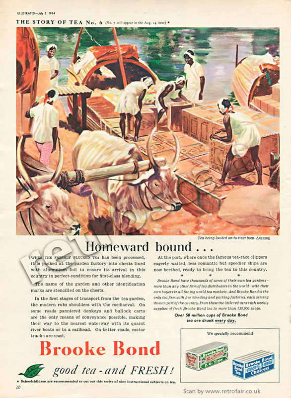 1954 Borrk Bond Story of Tea No. 6 Vintage ad
