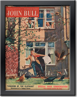 55 April John Bull Vintage Magazine Back Garden Panic  - framed example