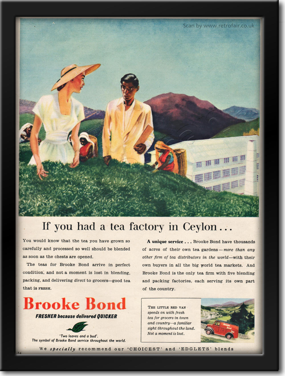 vintage 1953 Brooke Bond Tea ad