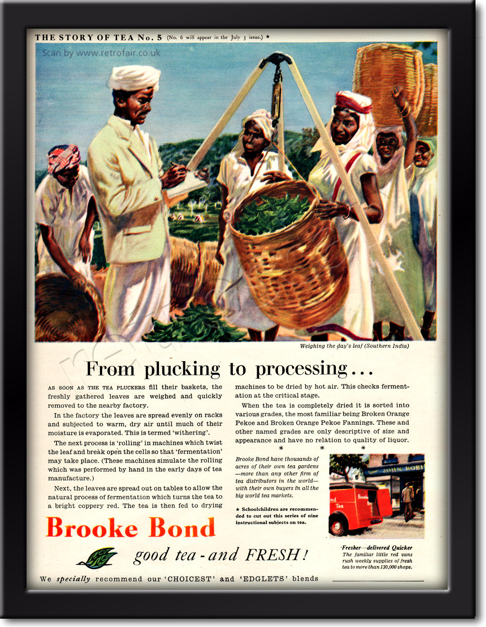 vintage 1954 Brooke Bond Story OF Tea No. 5 advert