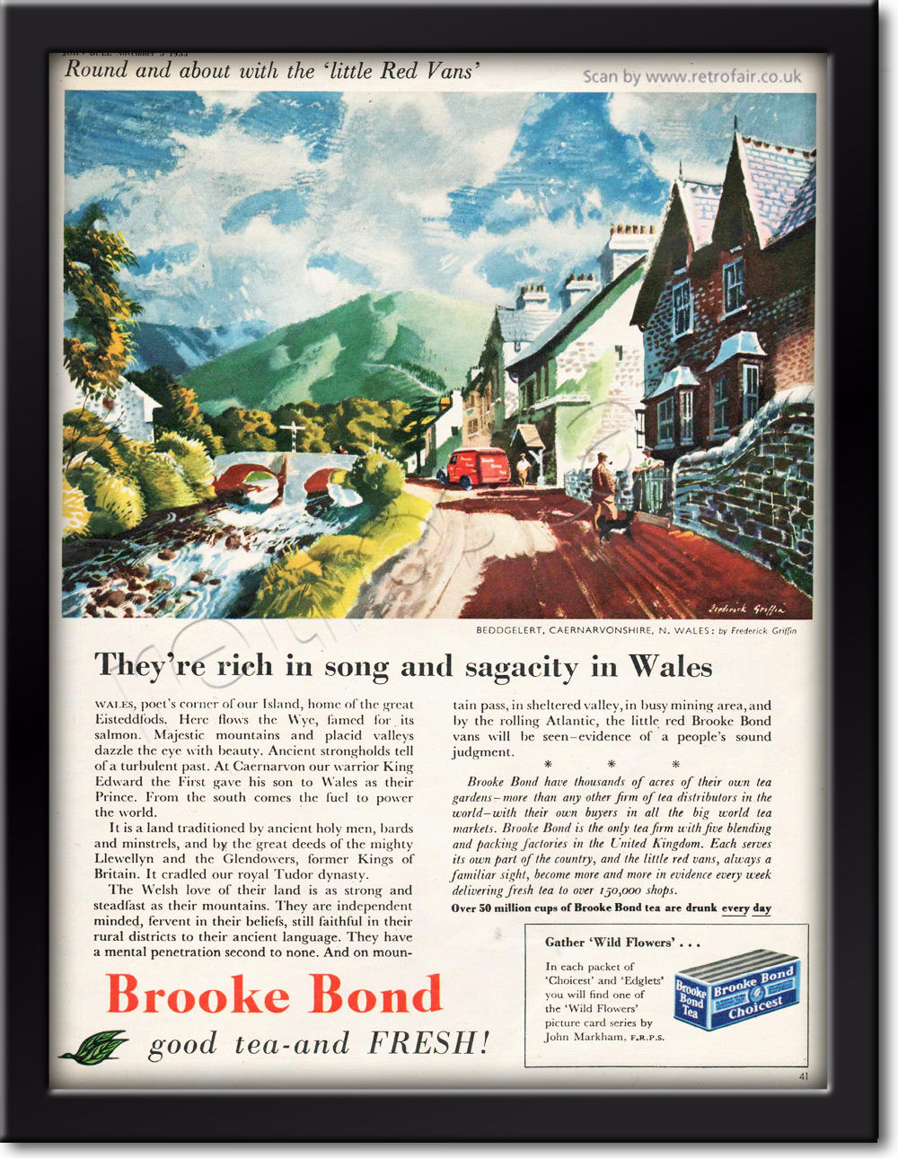 1955 vintage Brooke Bond Tea 'little Red Vans' Beddgellert  ad