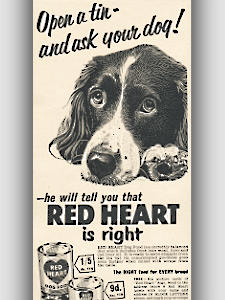 1955 Red Heart Dog Food vintage ad
