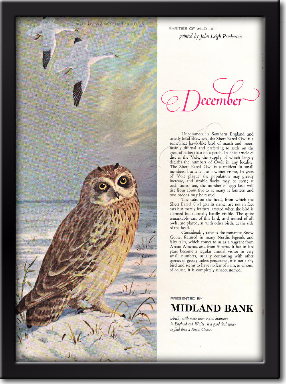 1964 vintage Midland Bank - December advert