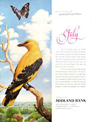 1964 Midland Bank - July Wild Life vintage ad