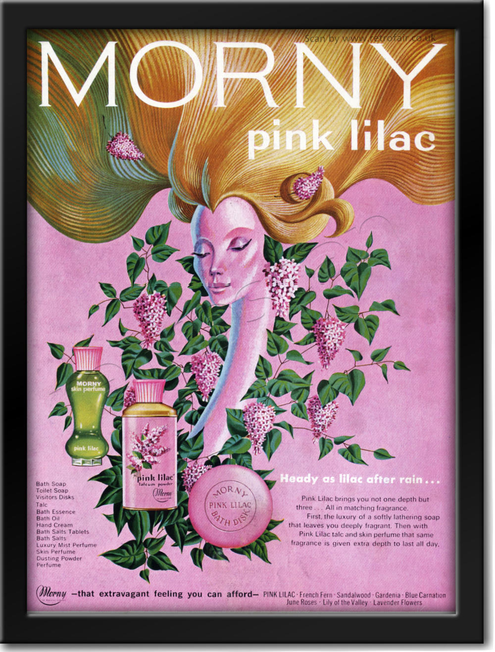 retro Morny Pink Lilac