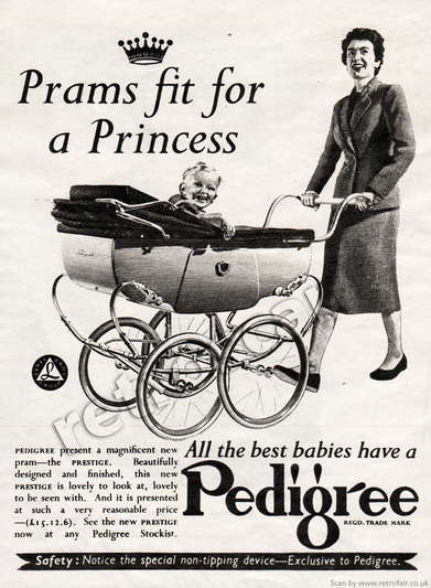 1952 Pedigree Prestige Prams - unframed vintage ad