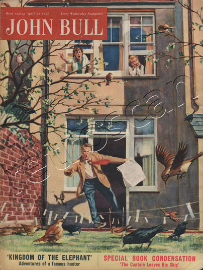 1955 April John Bull Vintage Magazine Back Garden Panic  - unframed