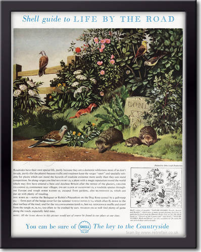 1958 Shell Guide To Life On The Road - framed preview vintage ad