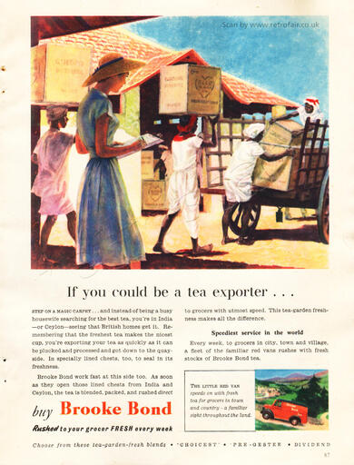 1953 vintage Brooke Bond Tea