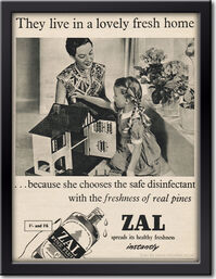 1953 ZAL Disinfectant - framed preview retro