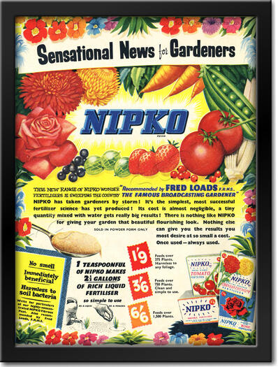 1955 vintage Nipko advert