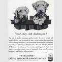 1951 Wellcome Pet Care - Vintage Ad