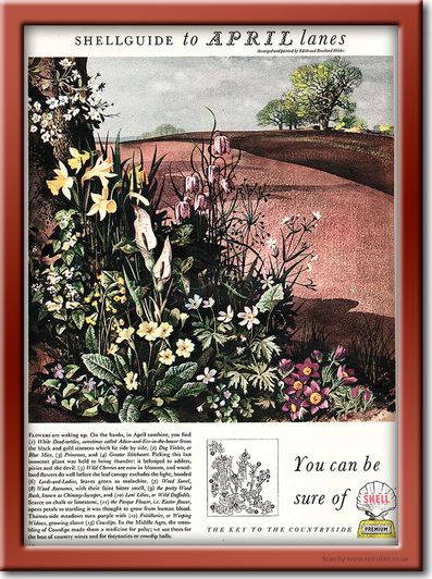 1954 Shell Guide to April lanes - framed preview retro