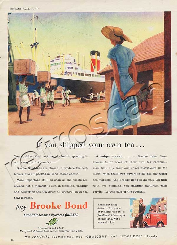 vintage 1953 Brooke Bond Tea