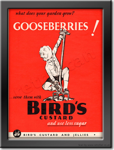 1940 Bird's Custard