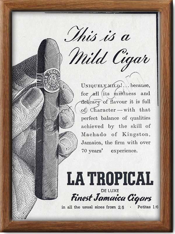 1950 vintage La Tropical Jamaica Cigars advert