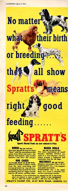vintage 1954 Spratts Dog Food advert