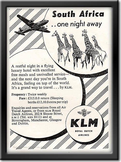 1950 KLM Air Line - framed preview - Vintage Ad