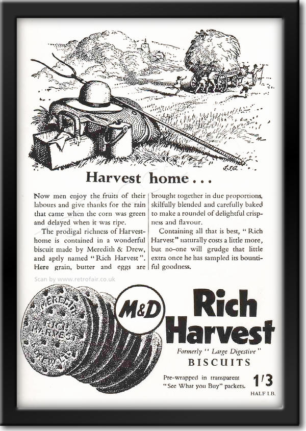 retro 1951 Rich Harvest Biscuits ad