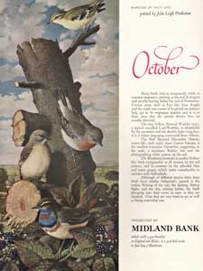 1964 Midland Bank October Birds