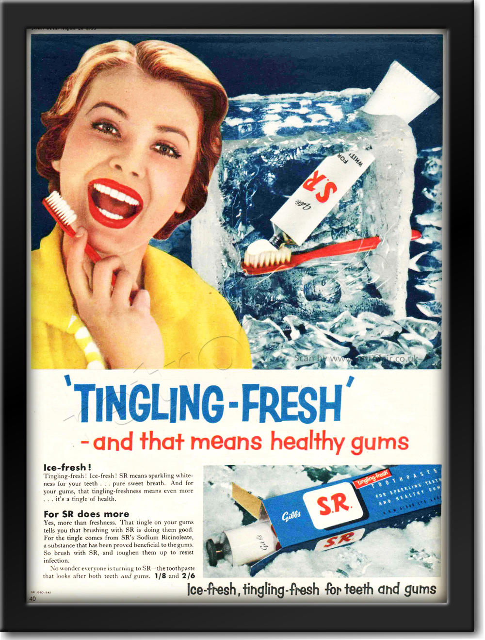 vintage 1955 Gibbs SR Toothpaste