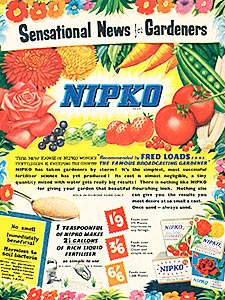 1955 Nipko Seeds - vintage ad