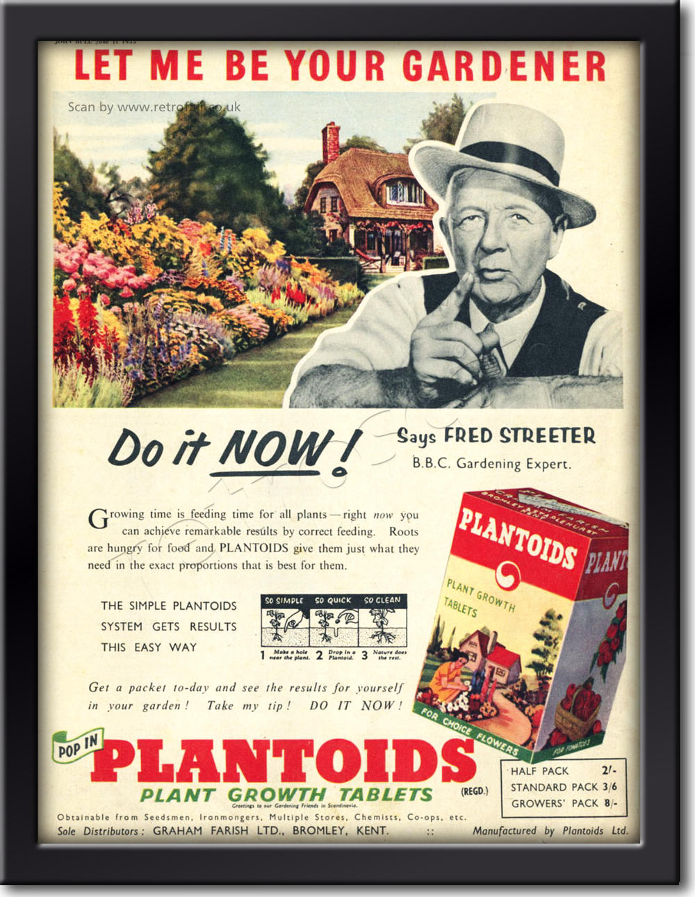 1955 Plantoid - framed preview
