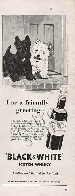 Retro Black & White Scotch Whisky  advert