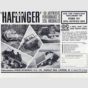 retro Haflinger advert