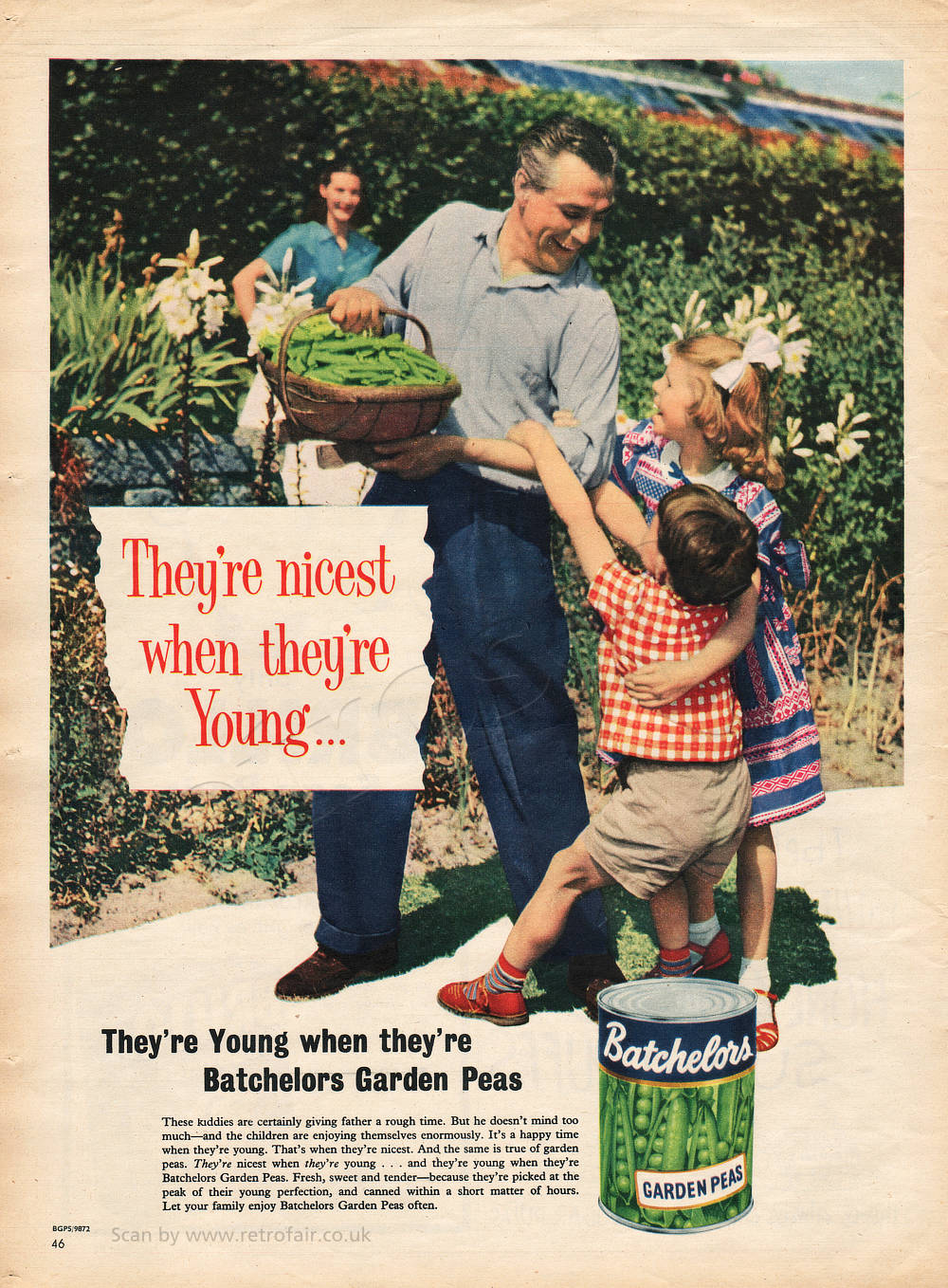 1958 Batchelors Garden Peas - unframed vintage ad