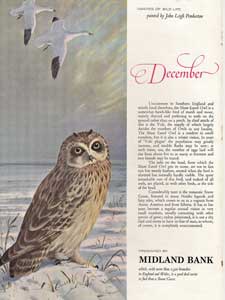 1964 Midland Bank December Bird Owl