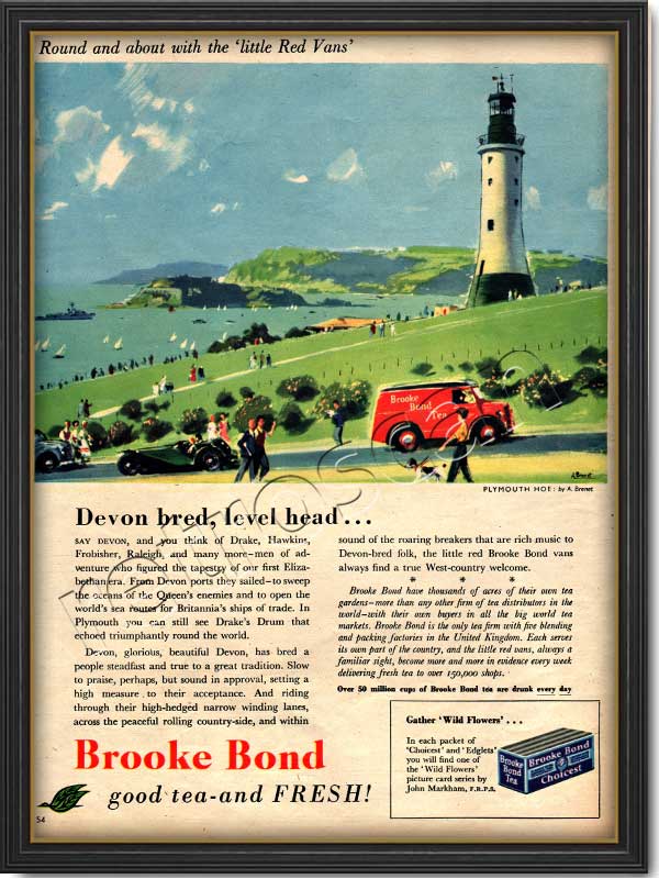 1955 Brooke Bond Tea vintage ad