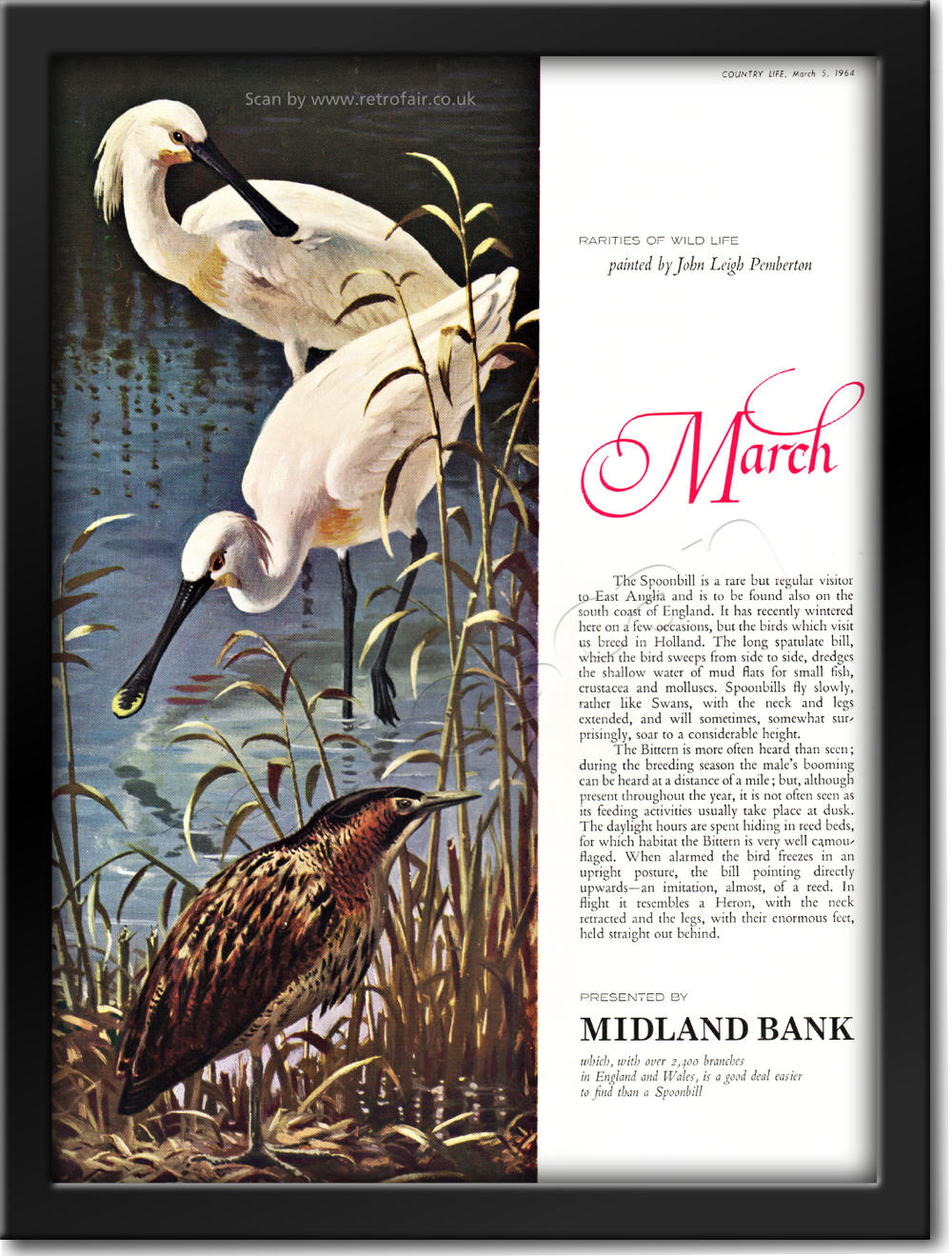 1964 vintage Midland Bank - March