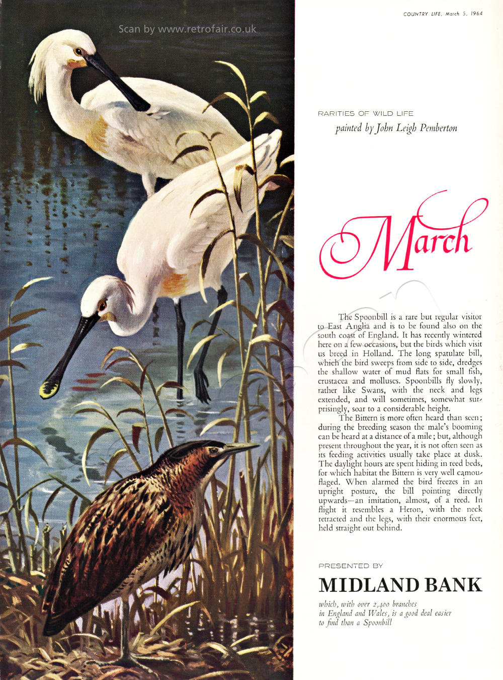 1964 Midland Bank - March 