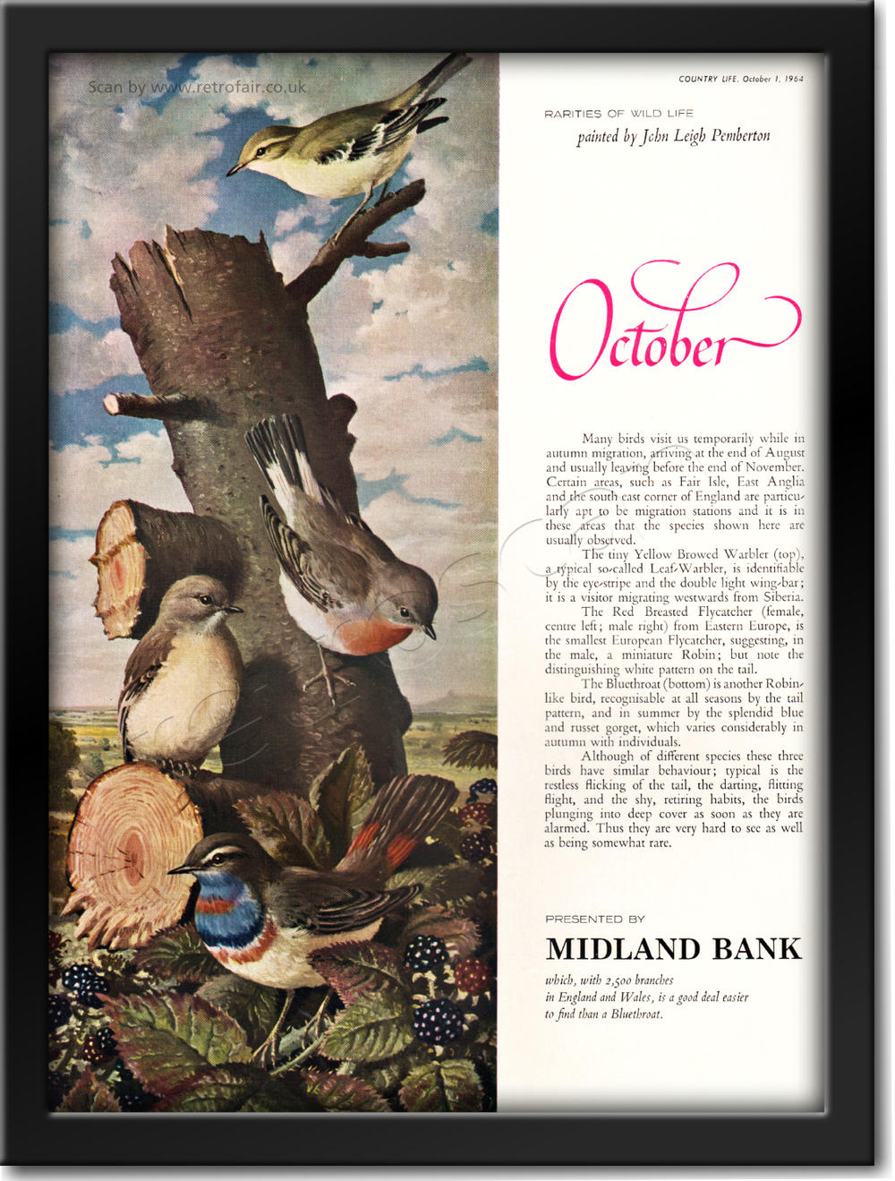1964 vintage Midland Bank - October advert