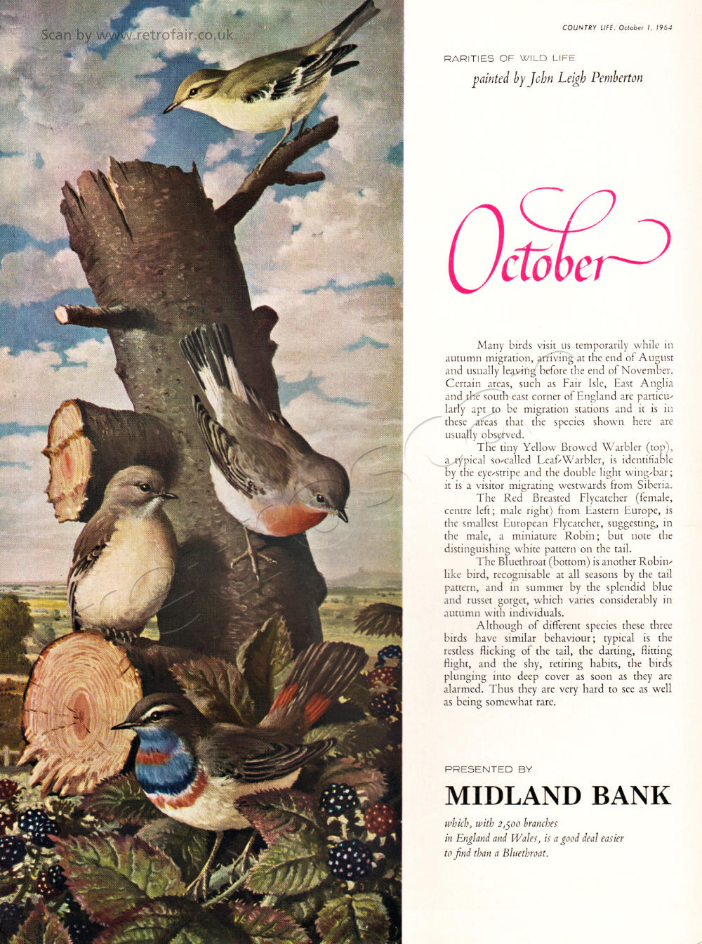 1964 Midland Bank - October