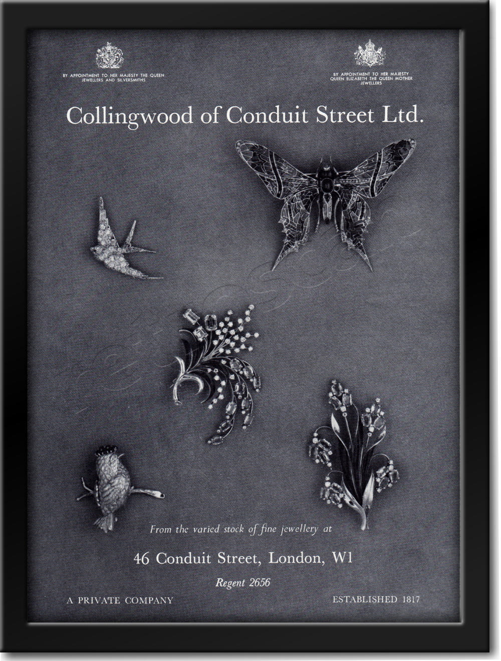 vintage Collingwood advert