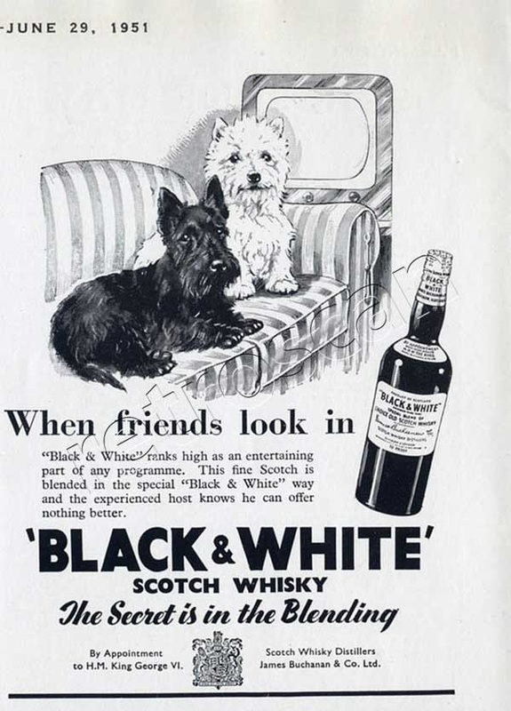1951 Black & White Scotch Whisky