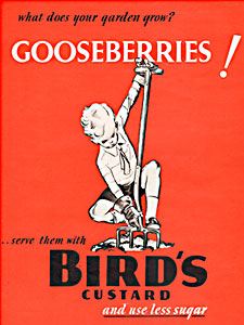  1940 Bird's Custard vintage ad