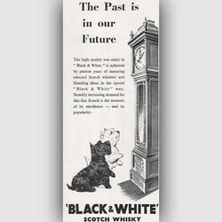 1952 Black & White Scotch Whisky - vintage ad
