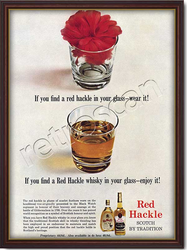 vintage 1964 Red Hackle Scotch Whiskey ad