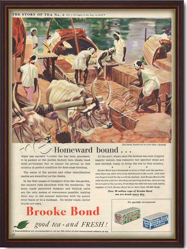 1954 Brooke Bond Tea  - framed preview