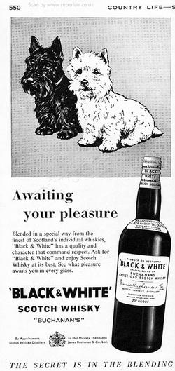 1958 Black & White Whisky - unframed