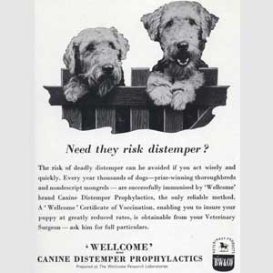 1951 Wellcome Pet Care