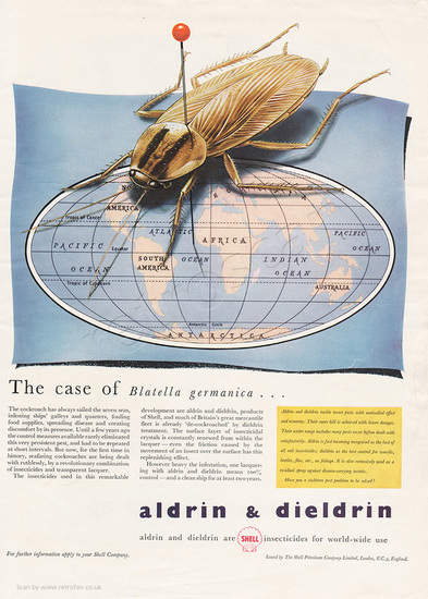 1955 Shell Chemicals - unframed vintage ad