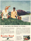  1953 Brooke Bond - vintage ad