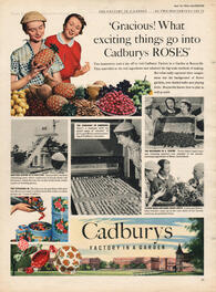 1954 Cadbury's Roses - unframed vintage ad